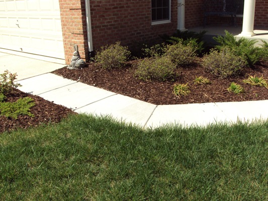 Stamped Concrete Patio